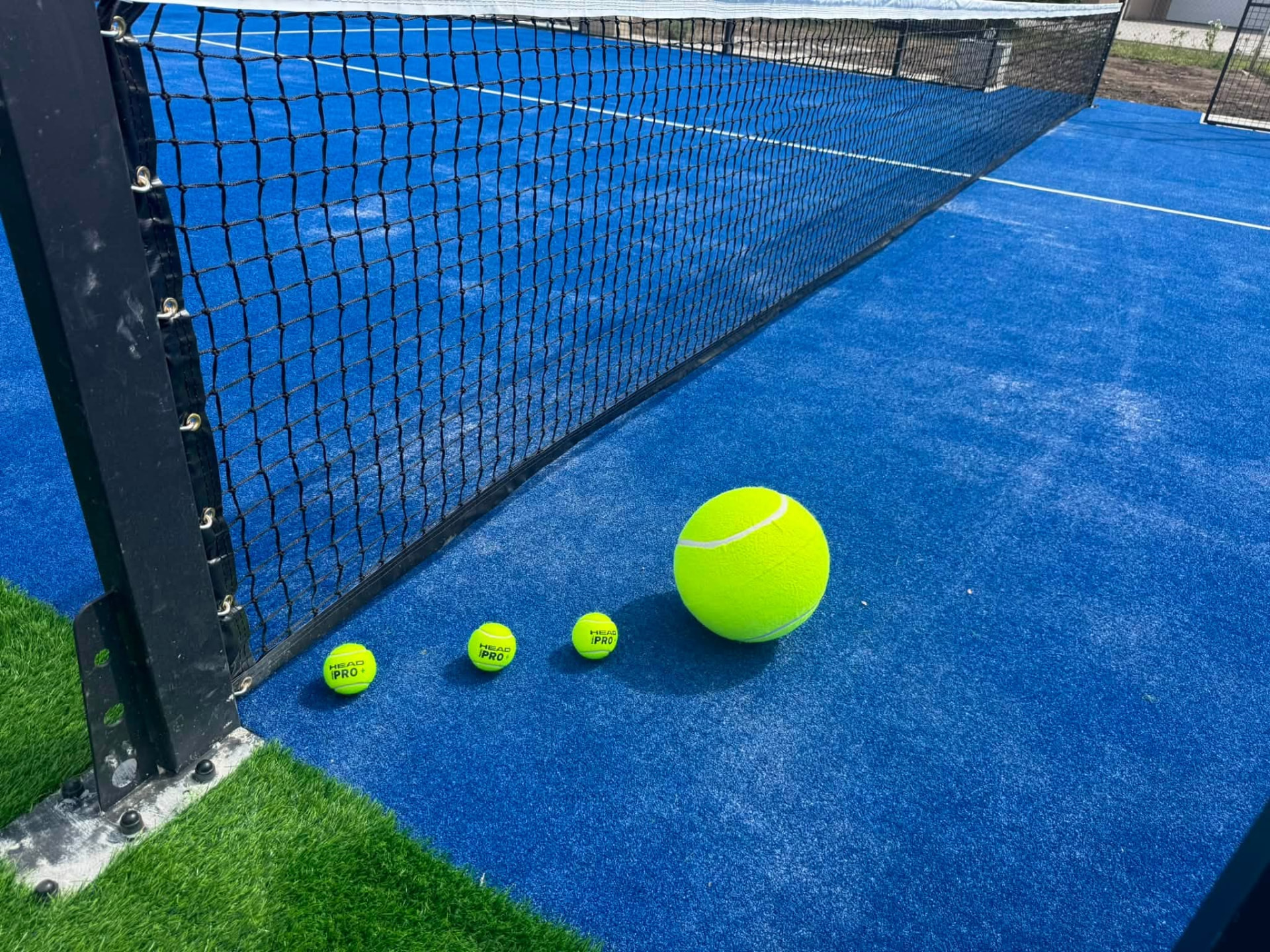 Padellabdák a háló mellett